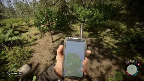 The forest дробовик