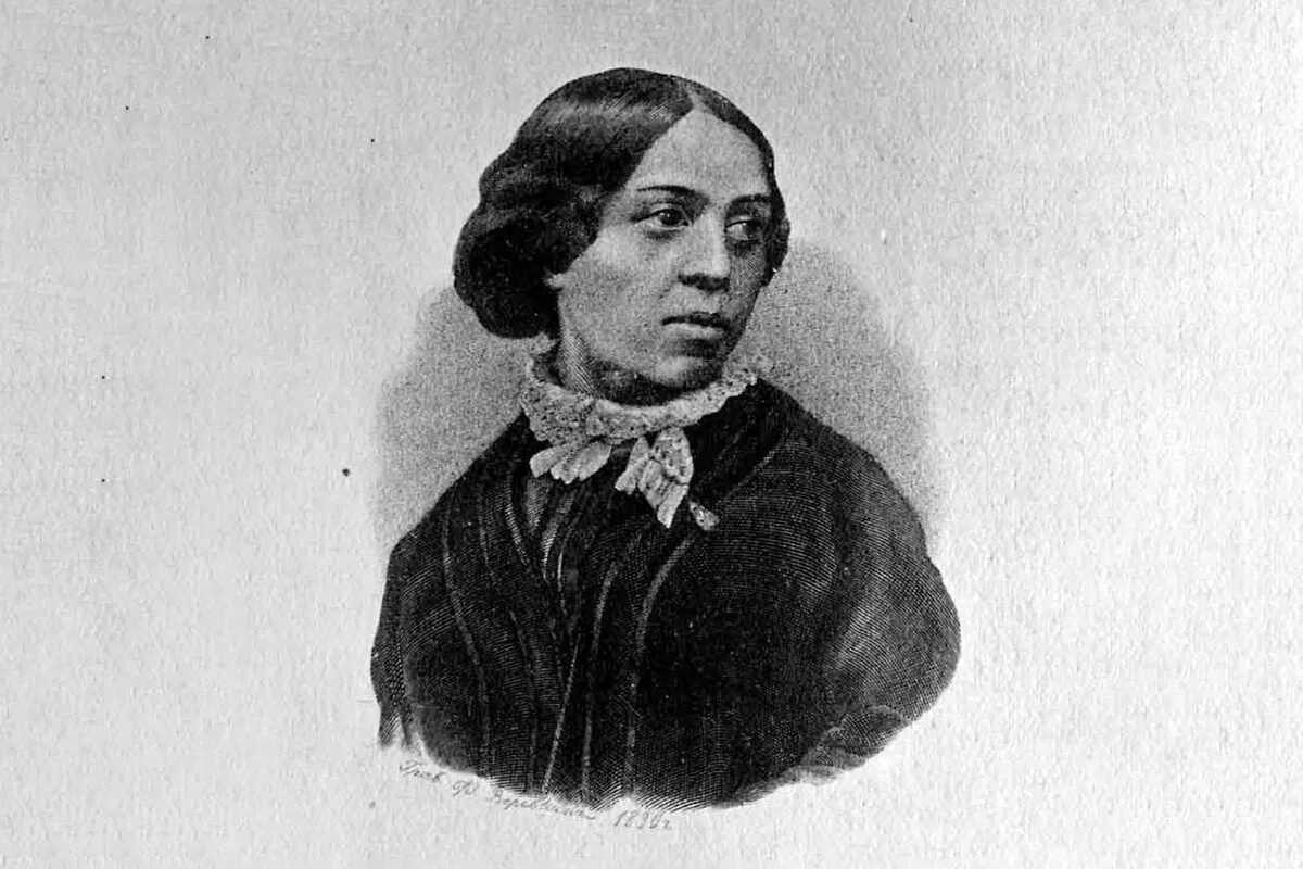 Humulus lupulus. н д хмель. ясен хмель. хмель обыкновенный светолюбив. хмель обыкнове́нный (humulus lupulus).