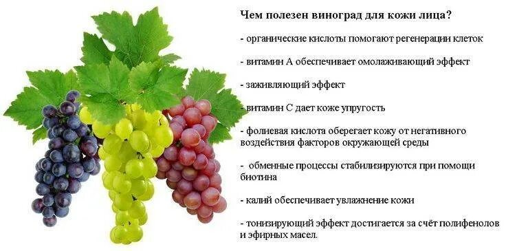 Какого витамина больше всего в винограде. Чем полезен виноград. Виноград польза. Чем полезен виноград для организма. Что полезного в винограде.