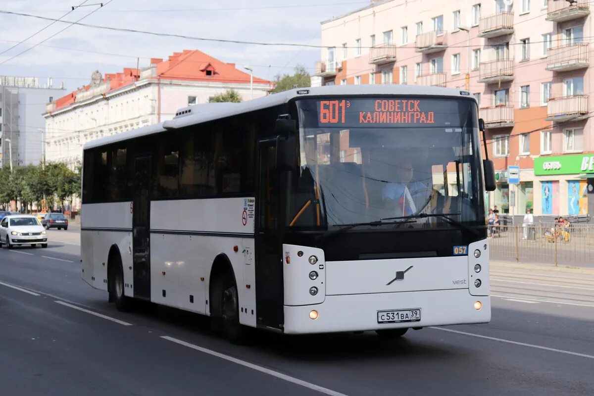 Калининград советск автобус купить