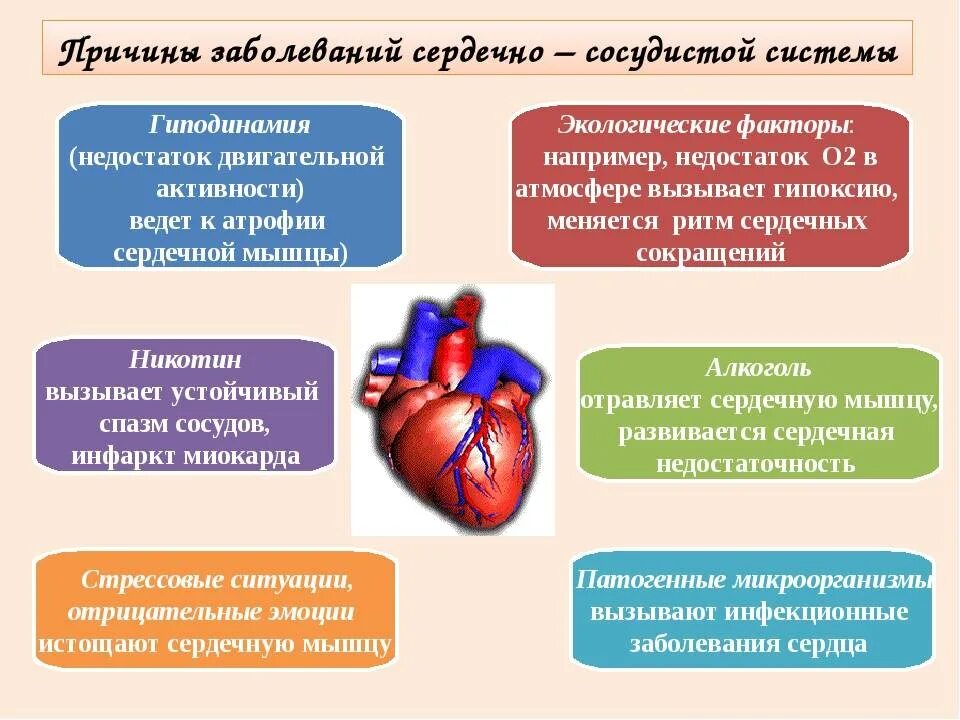 Заболевания сердечно-сосудистой системы. Причины заболевания сердечно-сосудистой системы. Причины сердечно-сосудистых заболеваний. Причины заболевания ССС. Причины болезни кровообращения