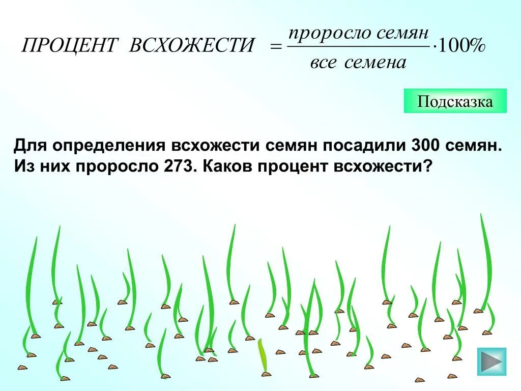 Влияние какого условия развития проростков. Определение энергии прорастания семян. Определение всхожести семян. Всхожесть семян пшеницы. Определение процента всхожести семян.