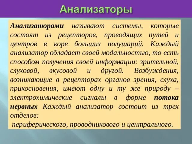 Периферический отдел анализатора. Анализатор состоит из рецептора преобразующего энергию. Проводящие нервные пути анализатора называются …. Центральный отдел зрительного анализатора функции. Анализатор состоит из рецептора.