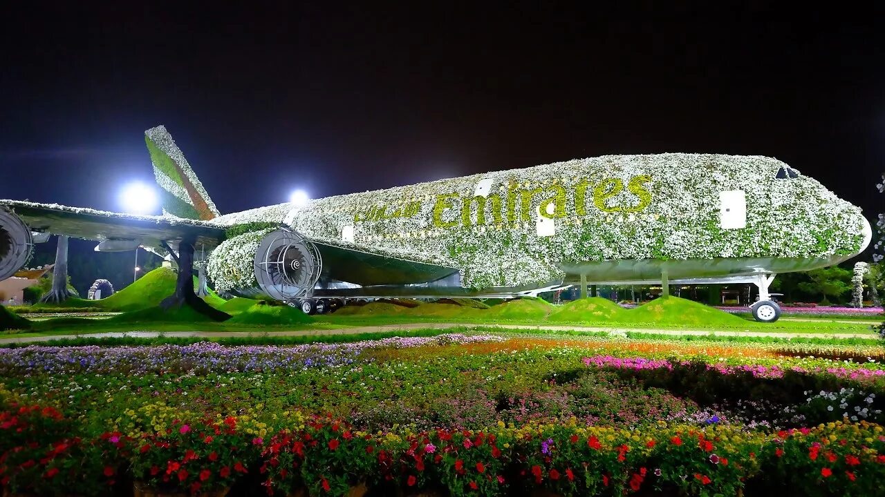Аэропорт толмачево впп. Самолетом сад. Миракл гарден дубай самолет. Миракл гарден дубай самолет. Самолет для детского сада.