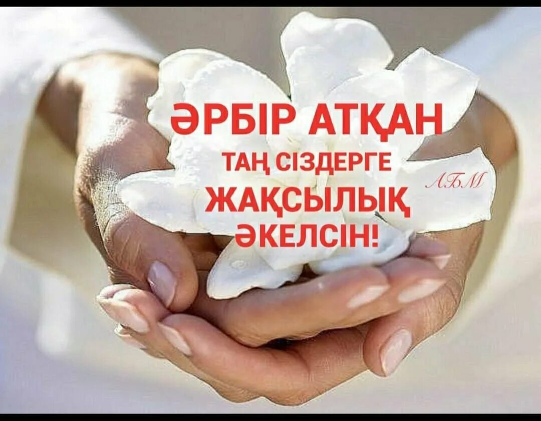 Спасибо за помощь бойцам. Благодарю за поддержку. белый цветок в ладонях. белые цветы в руках. спасибо за помощь.