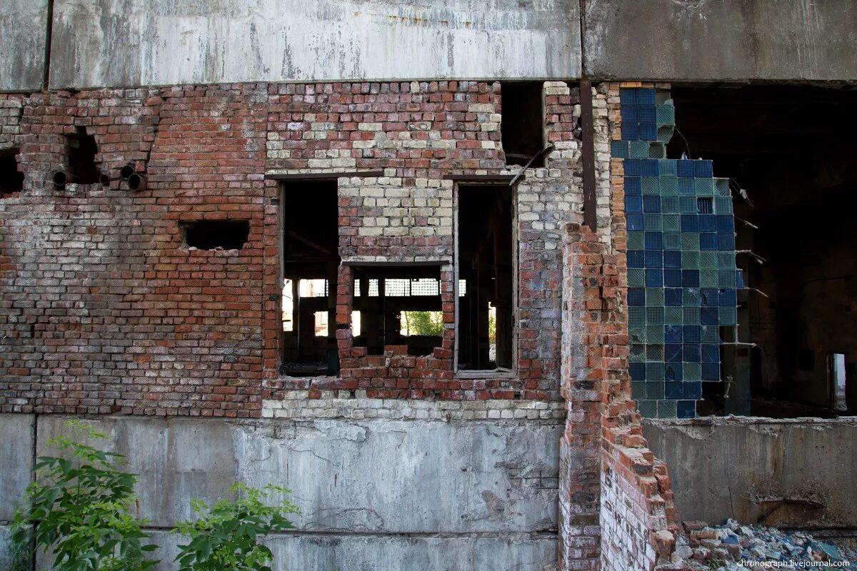 Вчерашние дтп тольятти. 2018. Необычные находки в лесу. Тольяттинский ужас. Тольяттинский пансионат для ветеранов труда, тольятти.