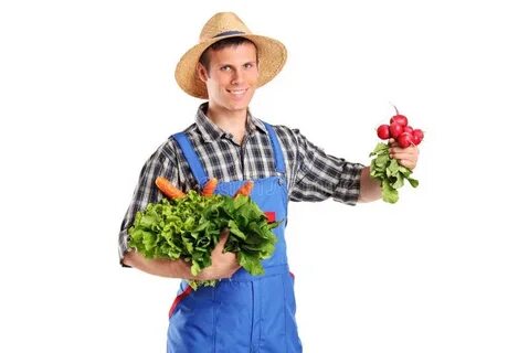 Farmer vegetables
