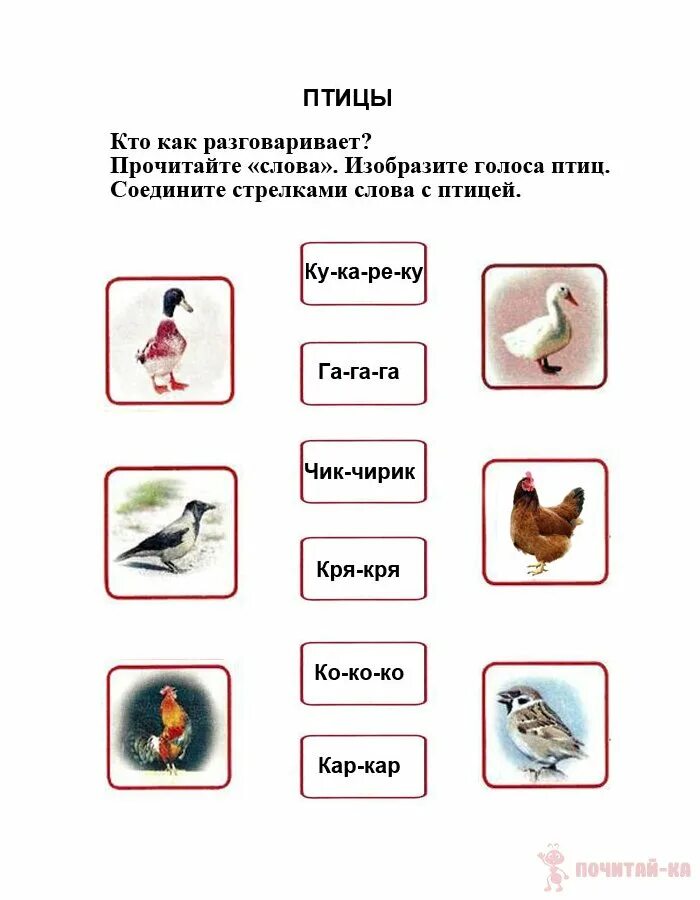 Найди слово птицы 5. Домашние птицы для дошкольников. Как говорят птицы. Кто как разговаривает птицы. Кто как разговаривает.