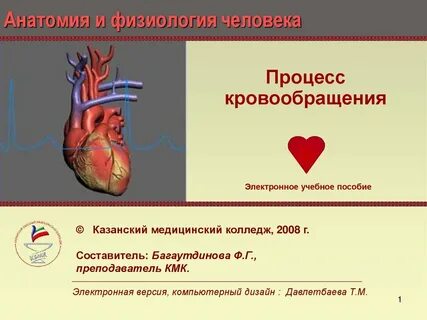 Процесс гемодинамики