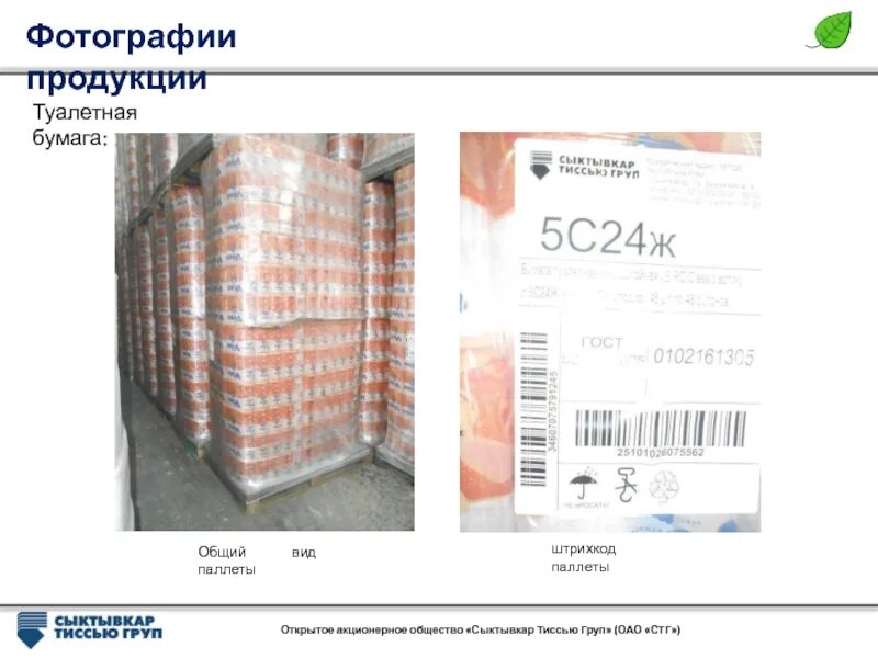 Сыктывкар тисью групп