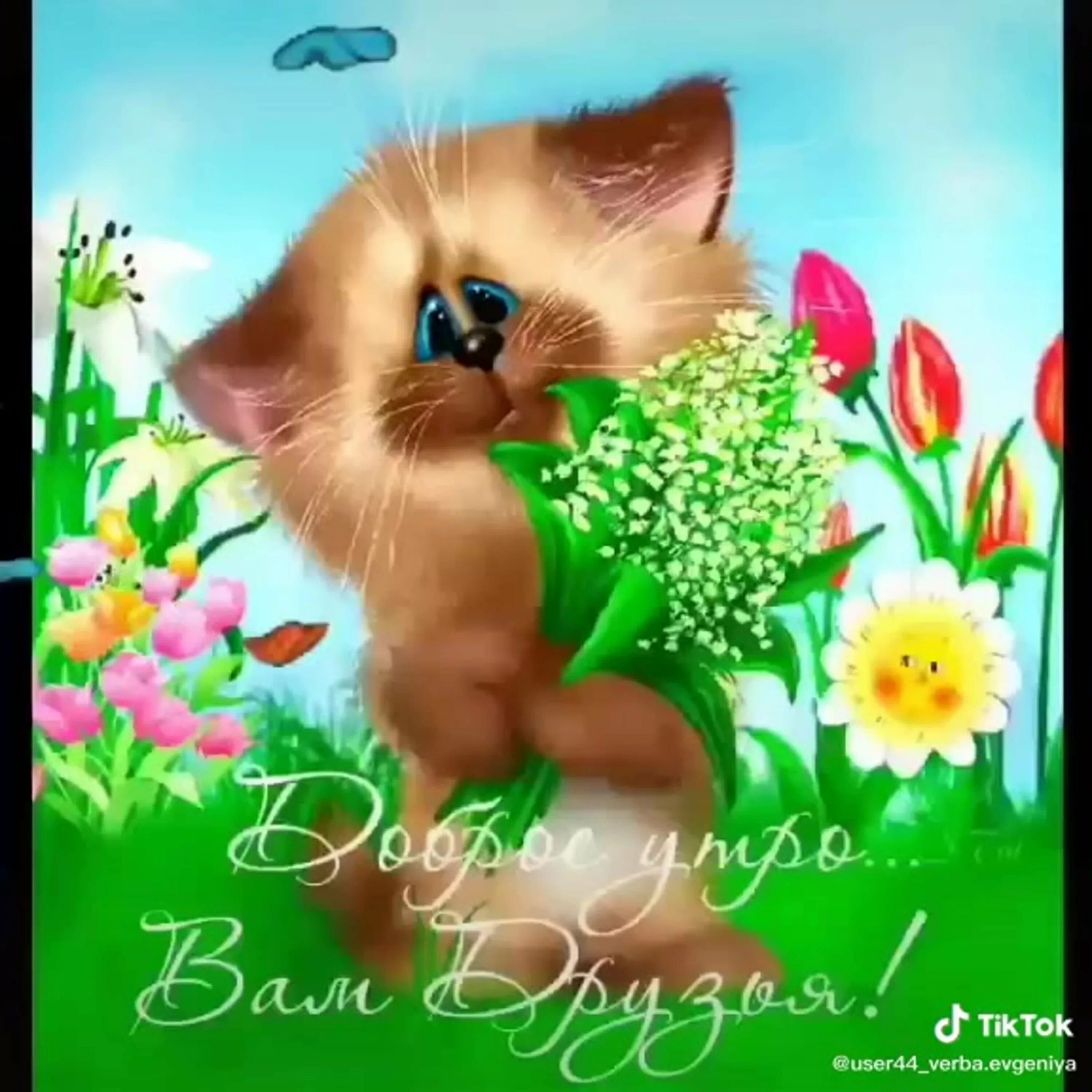 Анимация позитива