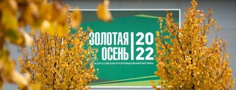 Приняли участие в золотой осени