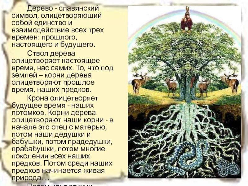 Система предков