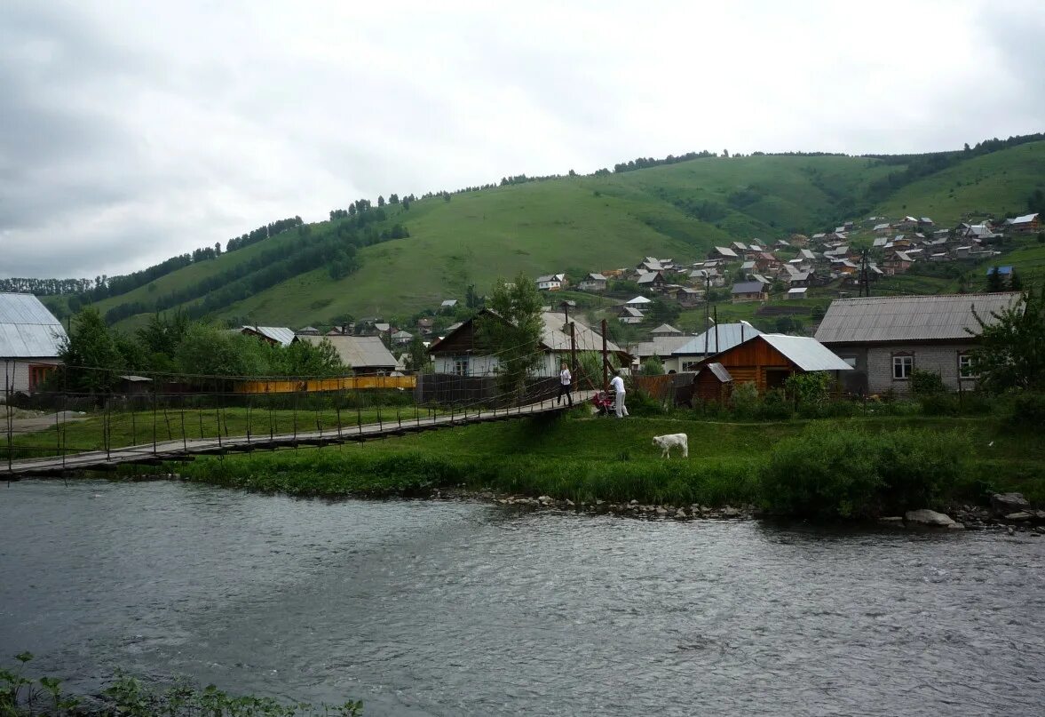 Ооо республики алтай. Майма Алтай. Горно Алтайск река Майма. Село Майма Алтайский край. Река Маймушка Горно Алтайск.