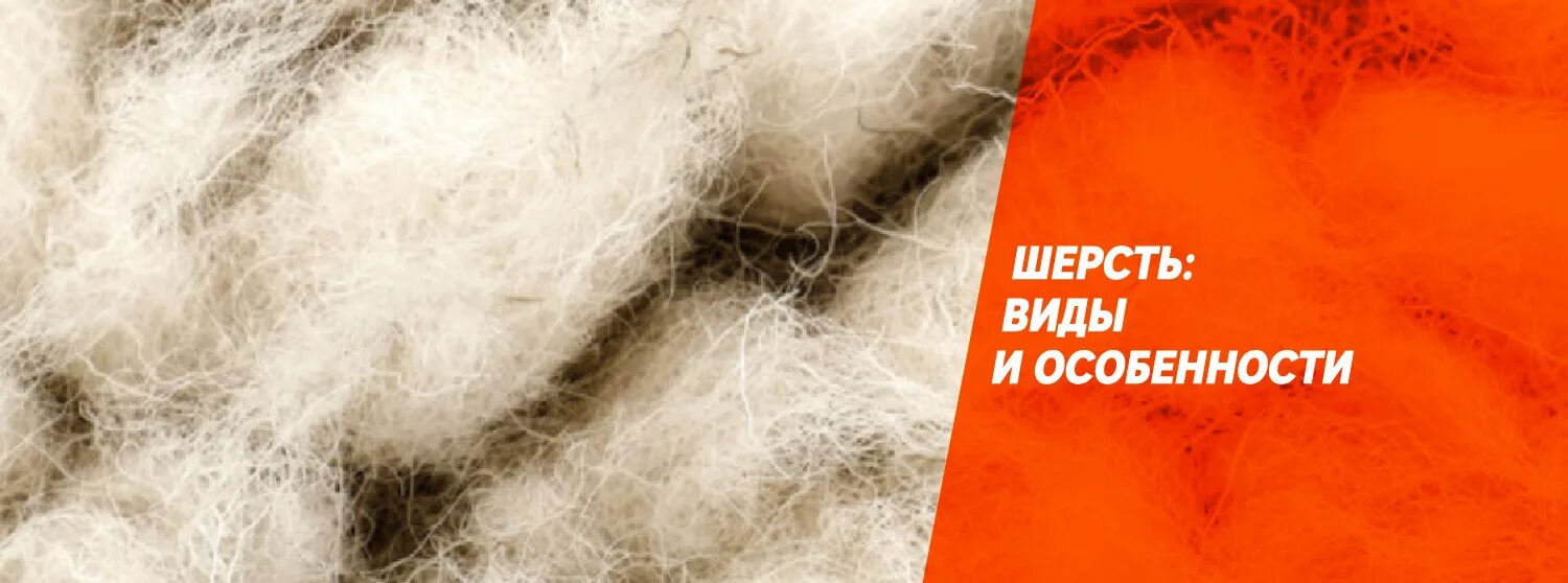 Как называется шерсть. Как называется шерсть
