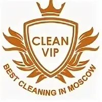 Clean vip. Vip cleaning золотые. clean-vip. ru.