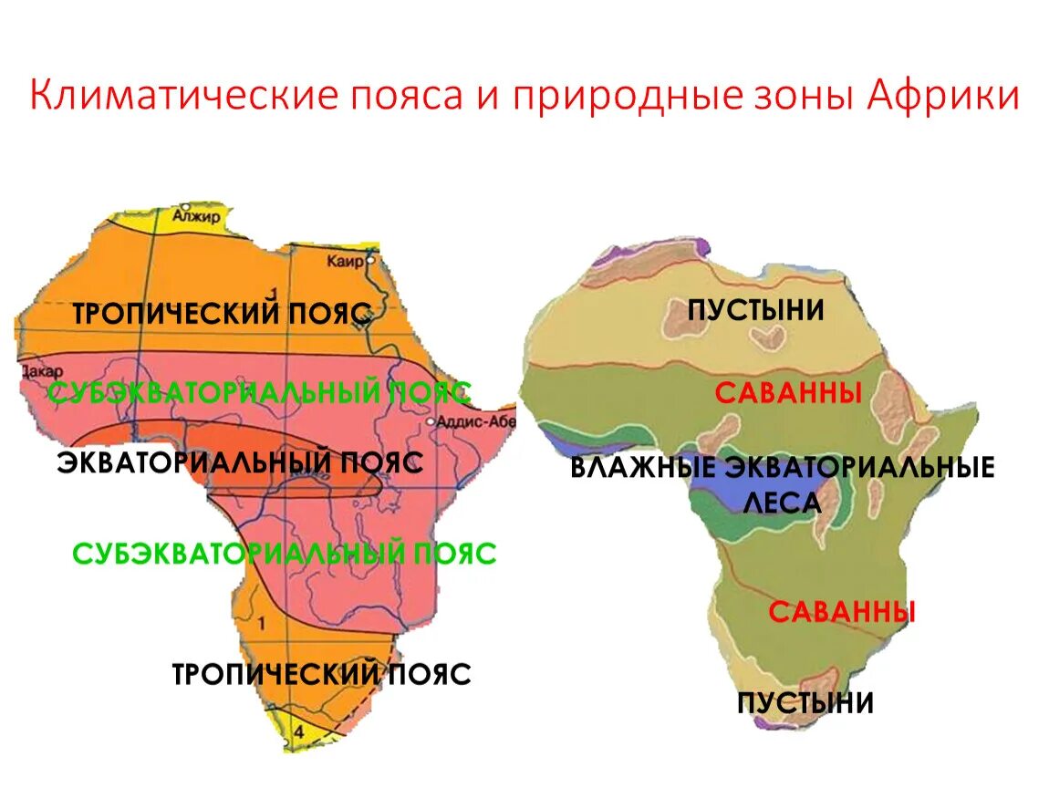 В скольких полушариях африка. Природные зоны Африки пустыни таблица. Средиземноморская природная зона Африки. Природные зоны африканского континента. Климатические пояса Африки.