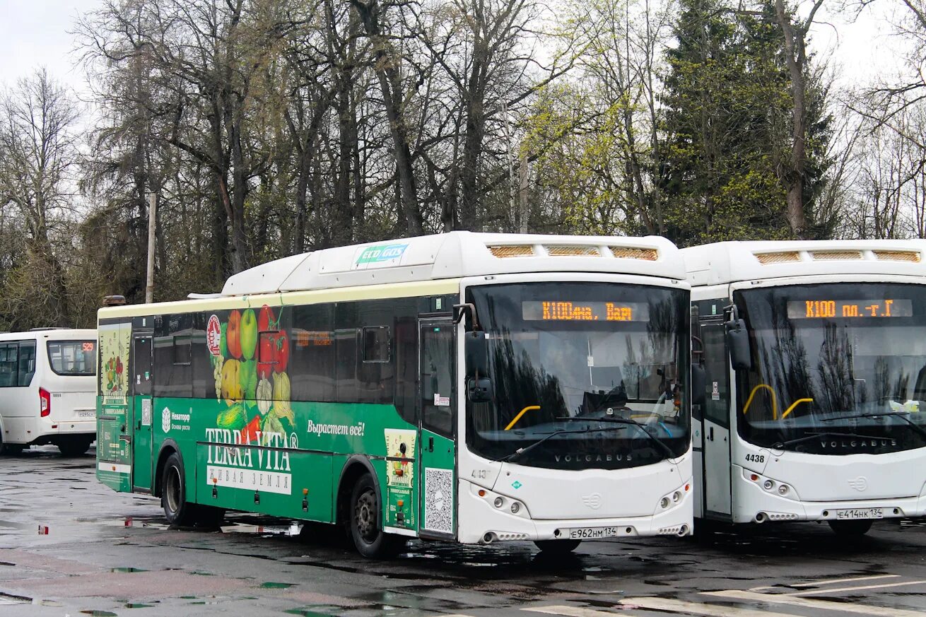 VOLGABUS 5285. Волгабас. Автобус VOLGABUS. Волгабус 5285 Кемерово.