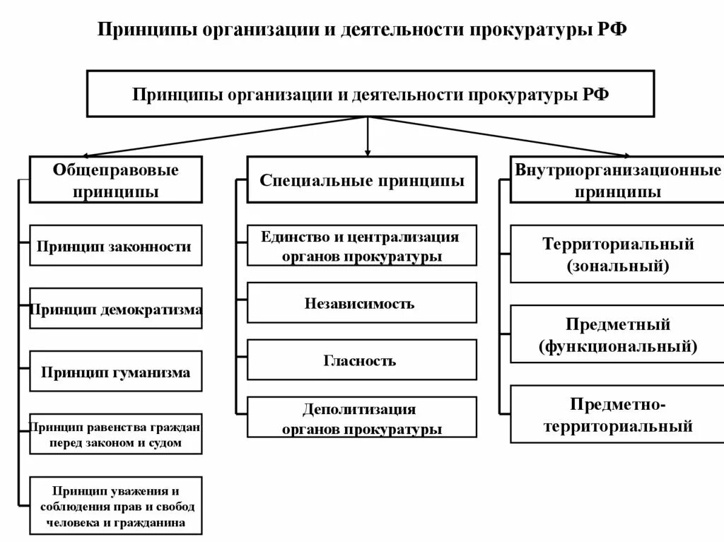 Принципы прокурора рф. Принципы прокуратуры схема. Организационные принципы деятельности органов прокуратуры.. Принципы прокуратуры Российской Федерации. Внутриорганизационные принципы деятельности прокуратуры.