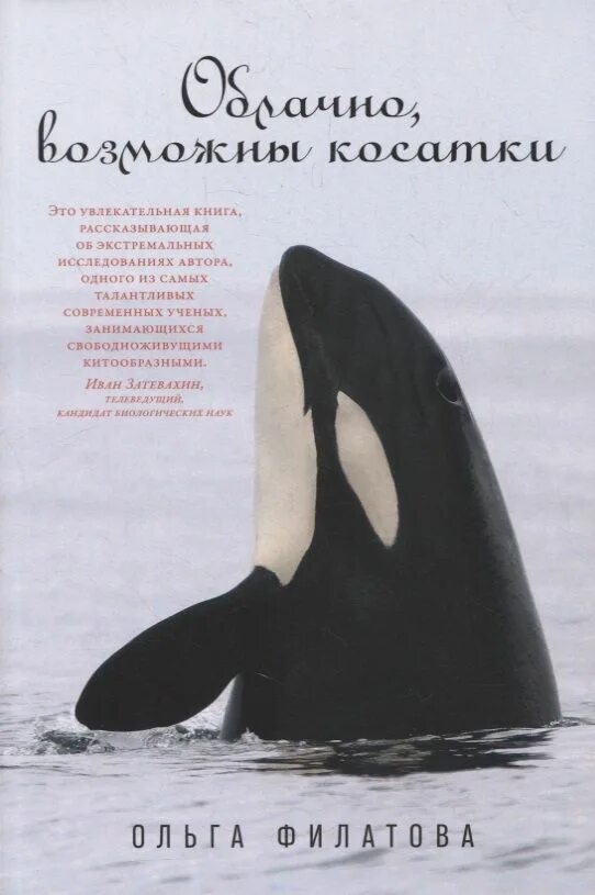 Возможны касатки. Детеныш касатки. Касатка это кит или акула. Возможны касатки. Красивые касатки.