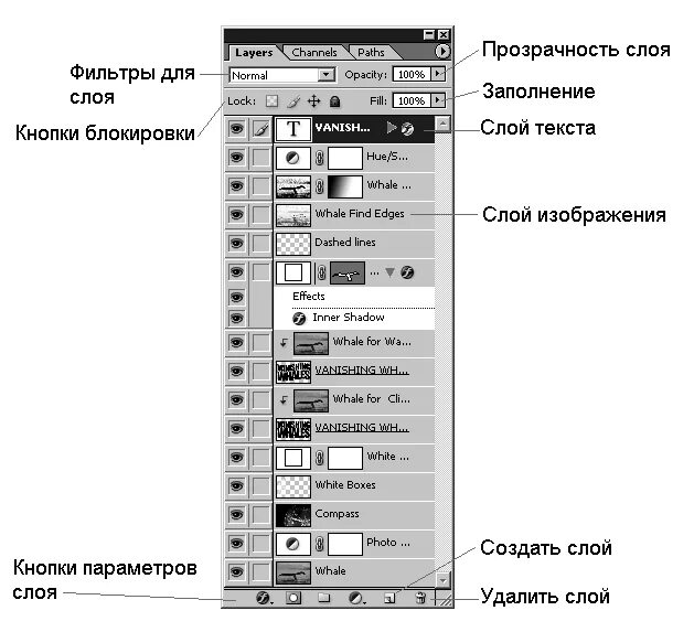 Работа с изображениями слои. Работа с изображениями слои