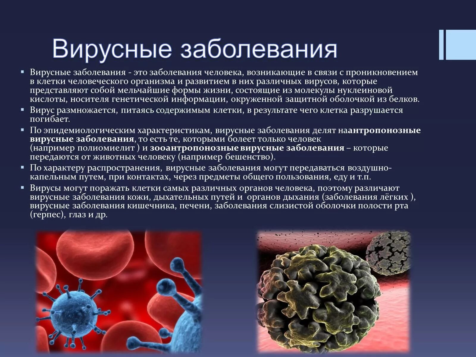 Вирус является формой жизни. Вирусные заболевания. Вирусные инфекции заболевания. Вирусы инфекционных заболеваний. Инфекционные и вирусные заболевания человека.
