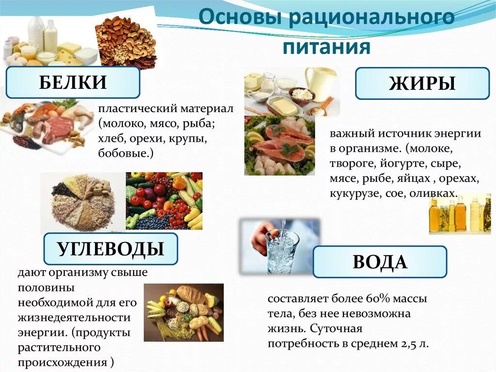 Какие продукты относятся к функциональному питанию. Рациональное питание белки жиры углеводы. Основа питания белок углеводы. Схема питания белки жиры углеводы. Памятка белки жиры углеводы.