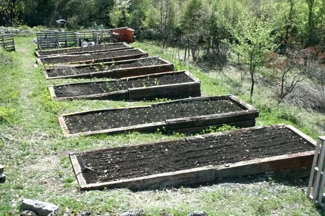 Грядки выкопанные. Террасированные грядки. грядки на склоне. высокие грядки. высокие грядки на склоне.