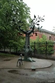Дерево желаний в кронштадте