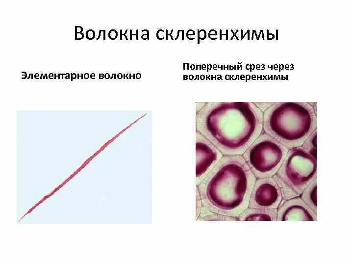 Модифицированные волокна. Механическая ткань. Волокна ткани под микроскопом. Файбер волокно. Поливинилспиртовые волокна.