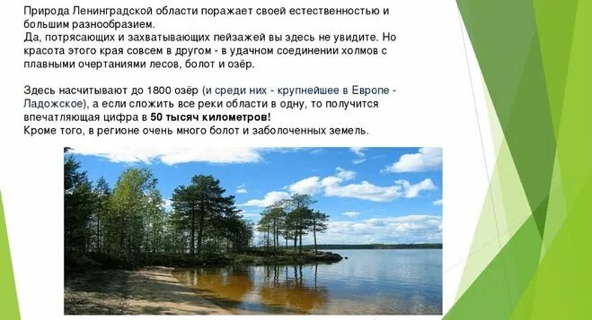 Водные богатства санкт петербурга 2 класс. Разнообразие природы Ленинградской области. Природа родного края Ленинградская область. Разнообразие природы родного края Ленинградская область. Природа Ленинградской области доклад.