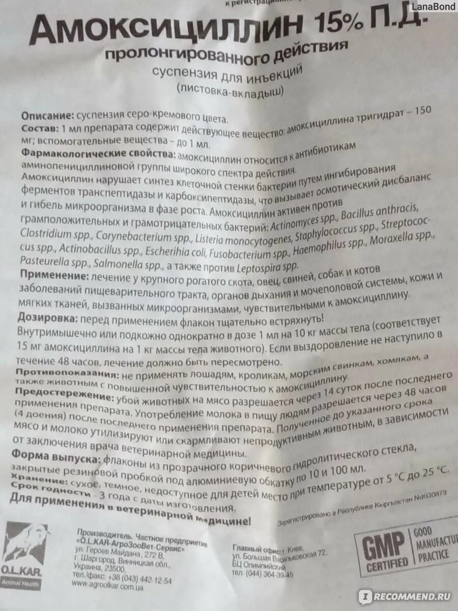 Амоксициллин акос от чего. Амоксициллин 500 таблетки антибиотик. амоксициллин детский таблетки 500мг. амоксициллин 15 для животных инструкция. амоксициллин 15 суспензия для инъекций для кошек.