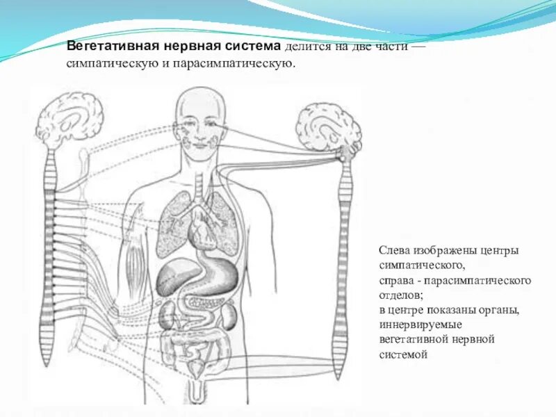 Слева изображен