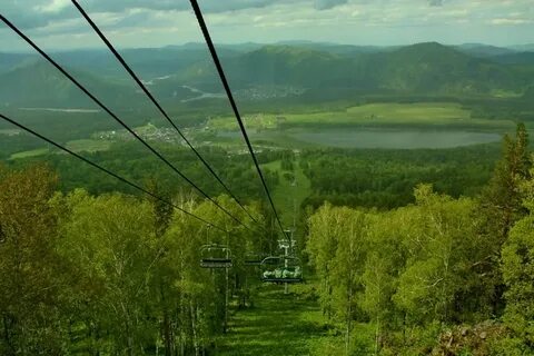Алтайское веб