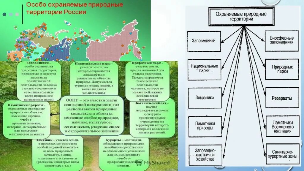 Значение природных парков. Схему: «виды особо охраняемых природных территорий». особо охраняемые природные территории таблица биология. особо охраняемые природные территории россии схема. составьте схему особо охраняемые территории россии.
