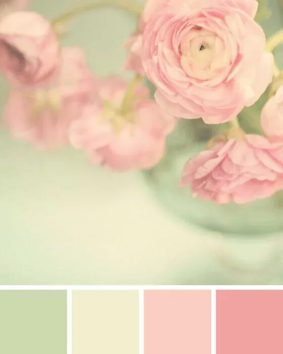 @color-palettes November 20 2018 at 05:40PM https://buff.ly/2S4GuSh https://ift.
