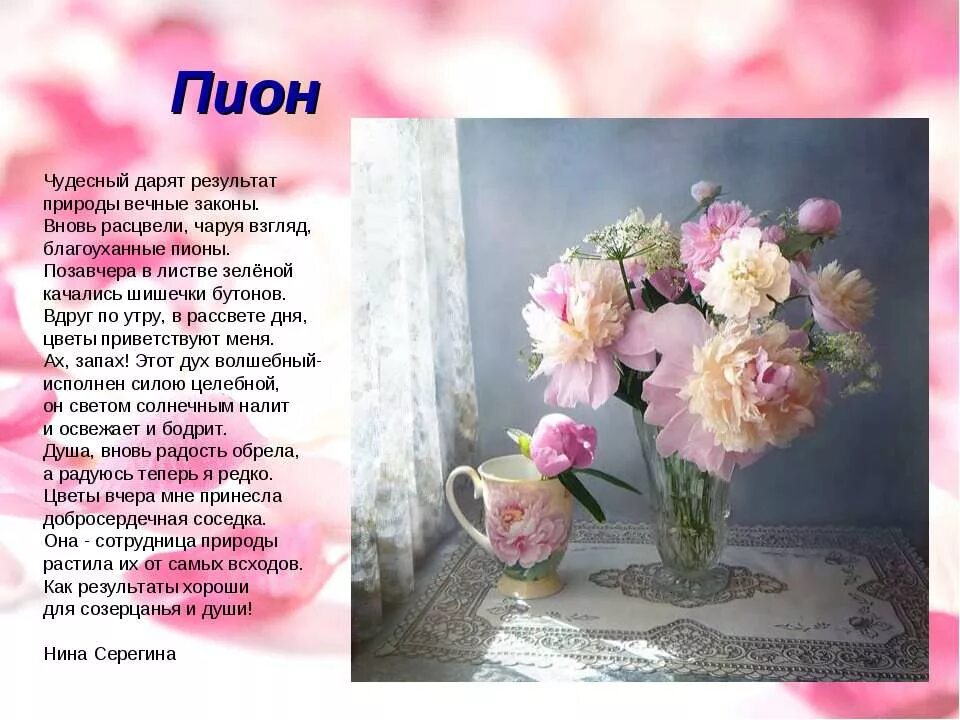 Стихи про пионы. Пионы рассказать. Стихотворение про пионы. Легенда о пионе. Стихи про пионы.