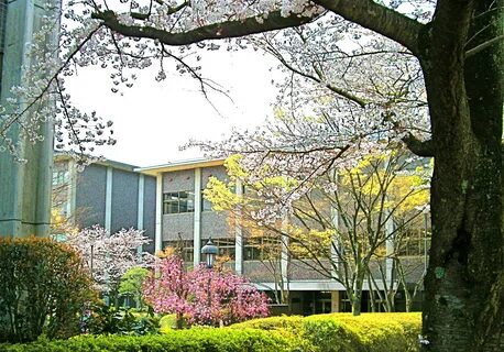 Kyoto university