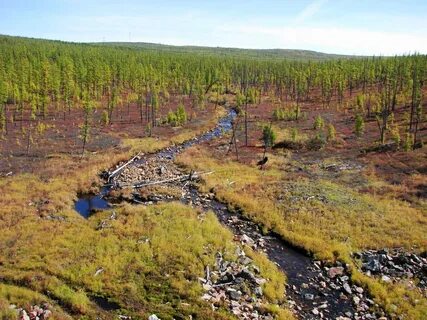 Саха якутия поселок серебряный бор