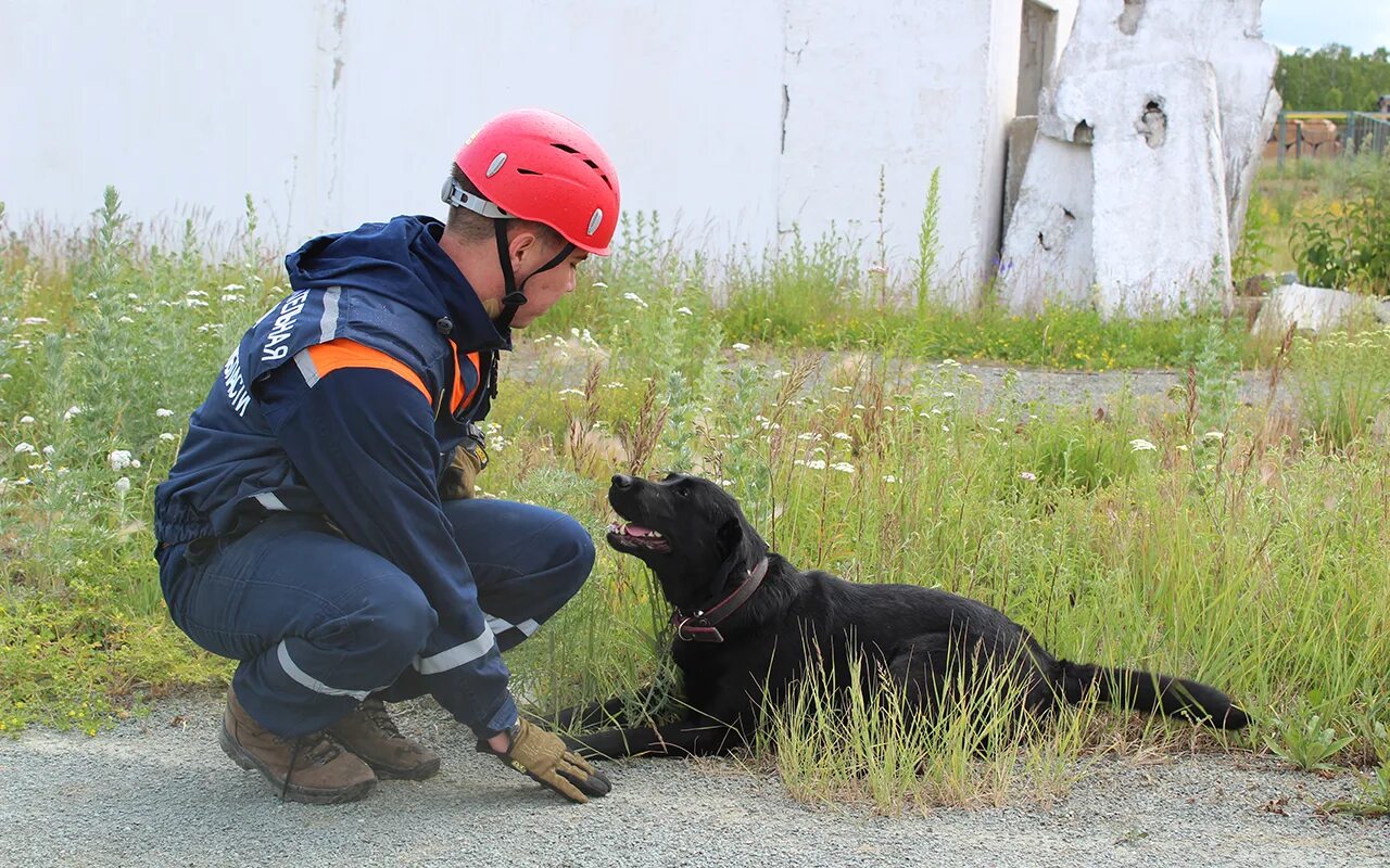 Мчс центроспас ковальчук иван. Мчс россии чс. Спасатель 9 букв. Спасатели мчс россии. Спасатель мчс.