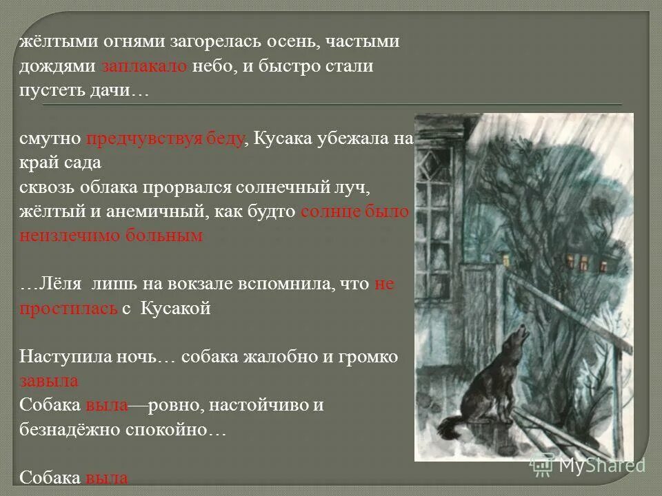 Из произведения ушинского злая девочка. Как понять выражение желтыми огнями загорелась осень. Непрерывный дождь правило. Пламя осени. Огненная осень.