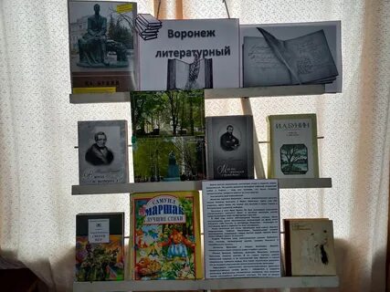 Произведения воронежских писателей