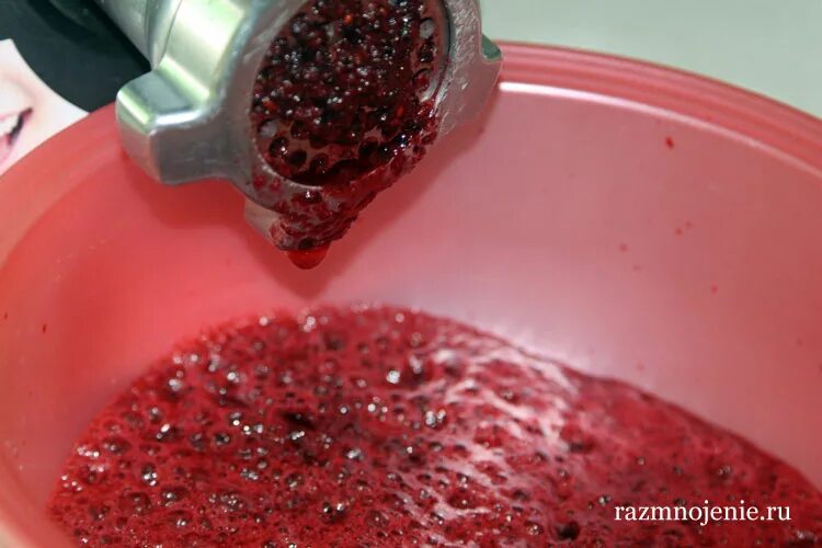 Соус из черноплодной рябины. Варенье из черноплодной рябины через мясорубку. соус из черноплодки. гранулы через мясорубку. мясорубка проворачивает ягодных.