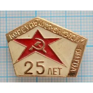Значок 25