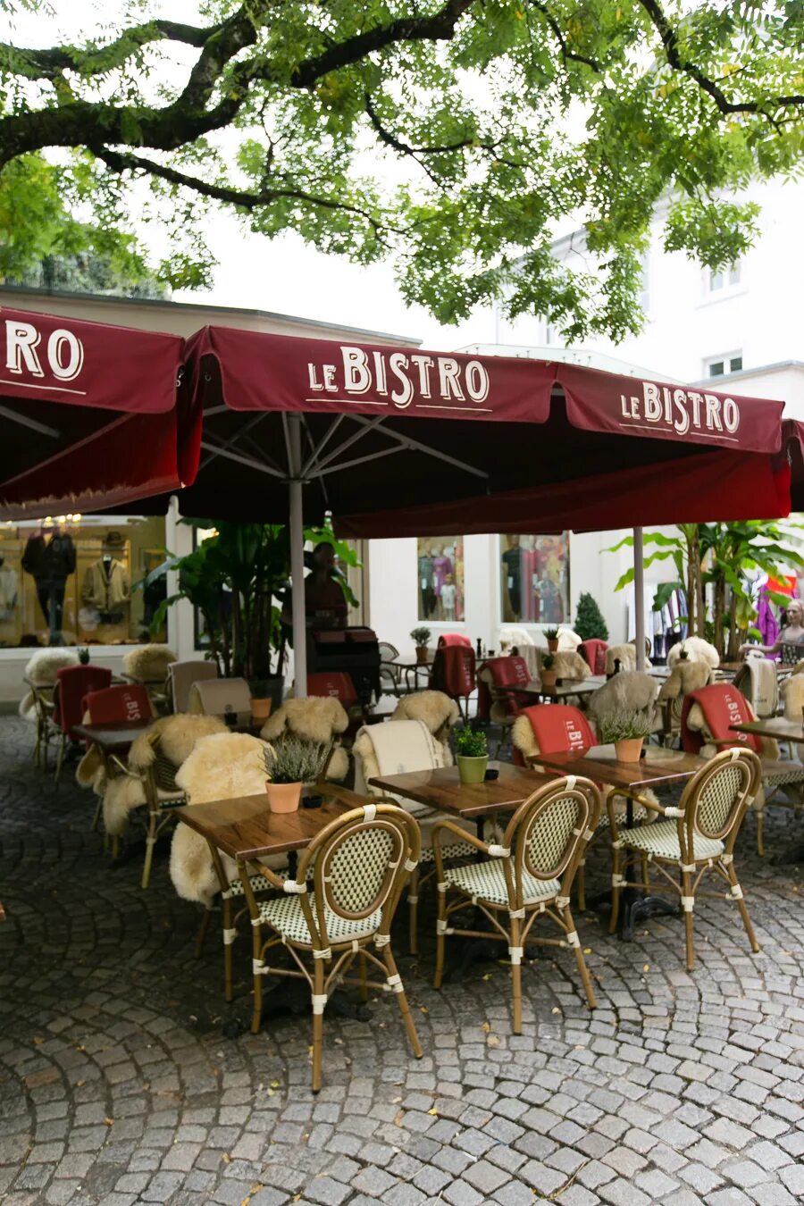 Кафе ле бистро. Ле бистро меню. Оливер в стокгольме ресторан. Le bistro. Le bistro.