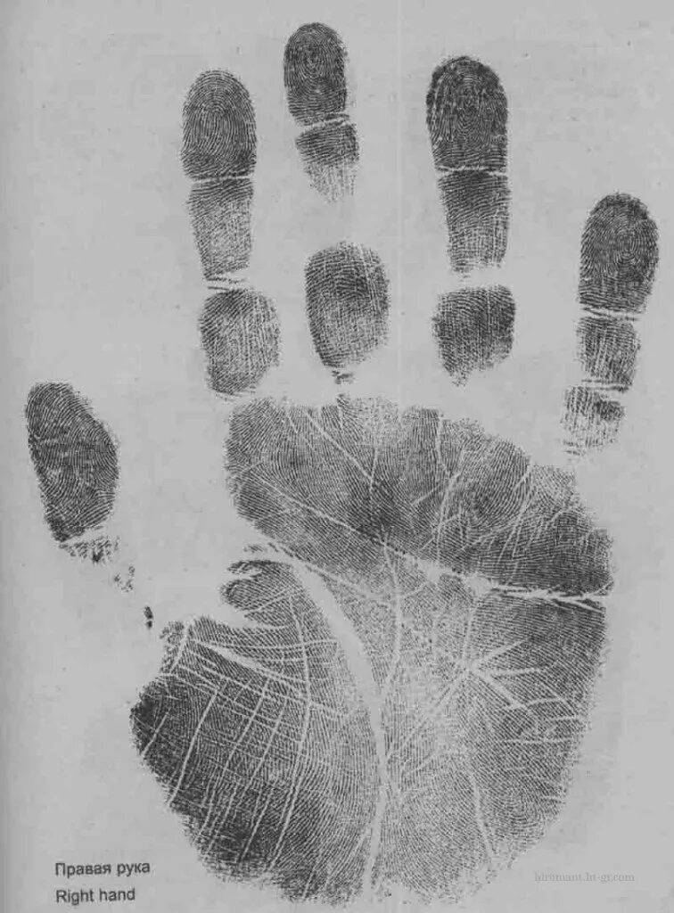 отпечаток руки человека. отпечаток большого пальца. трасология и дактилоскопия. следы рук. отпечатки пальцев на белом фоне.