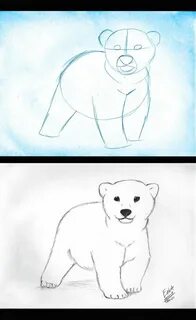 Как нарисовать белого мишку