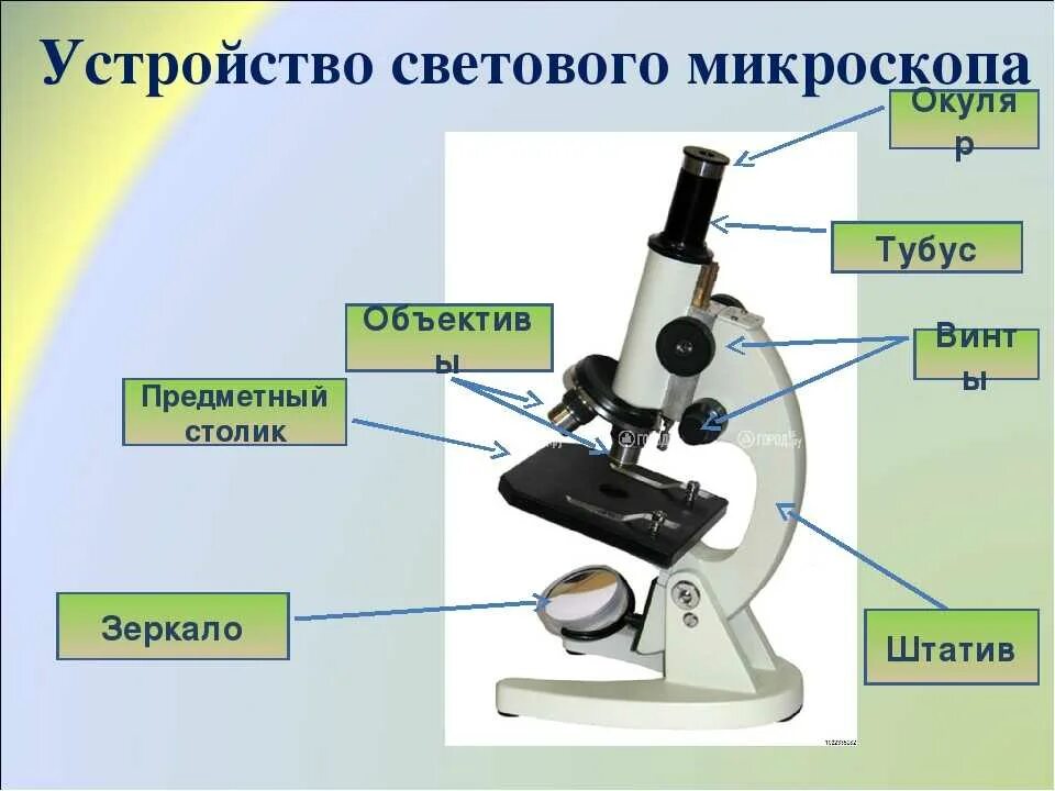 Микроскоп прибор для изучения. Строение увеличительных приборов микроскоп. увеличительные приборы 5 класс биология микроскоп. увеличительные приборы микроскоп 5 класс. световой микроскоп это увеличительный прибор?.