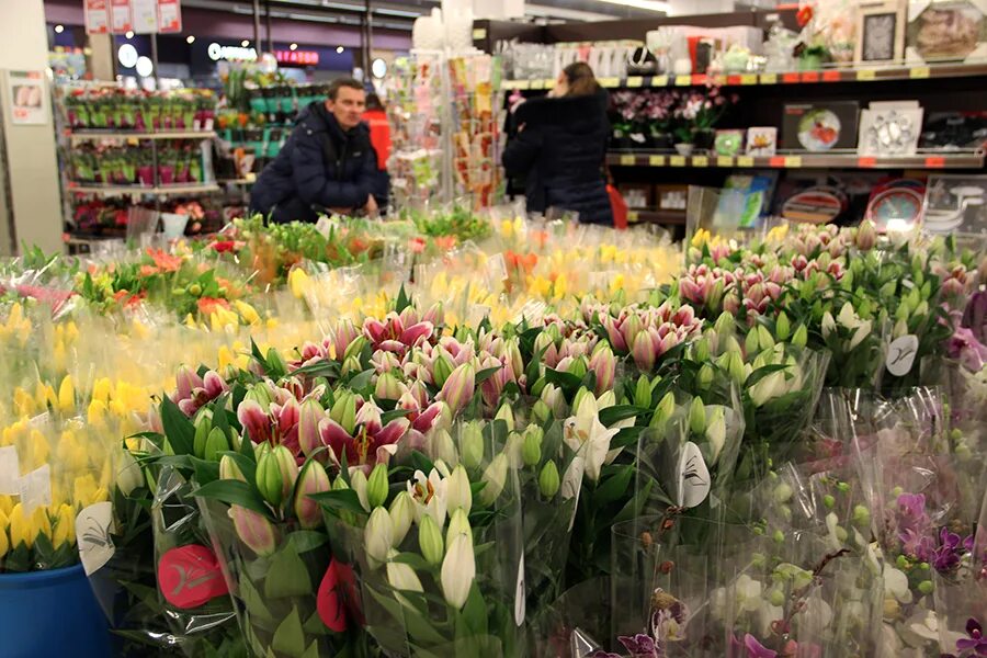 Сколько стоят тюльпаны в магните. Орхидея Евроопт. Букеты цветов Евроопт.. Орхидеи в Евроопте цены. В Евроопте г. Чаусы купить цветы в горшках.