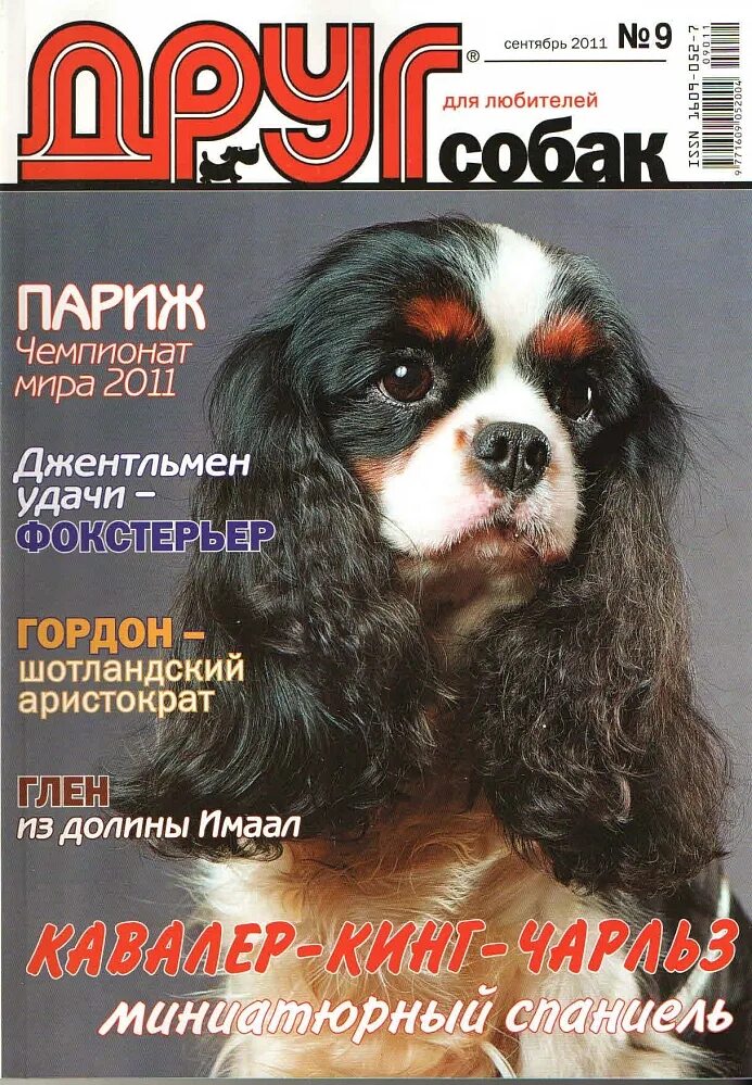 Сайт журнала друг. Друг собак журнал. Журнал друг для любителей собак. Обложки журнала друг про собак. Журнал мой друг собака.